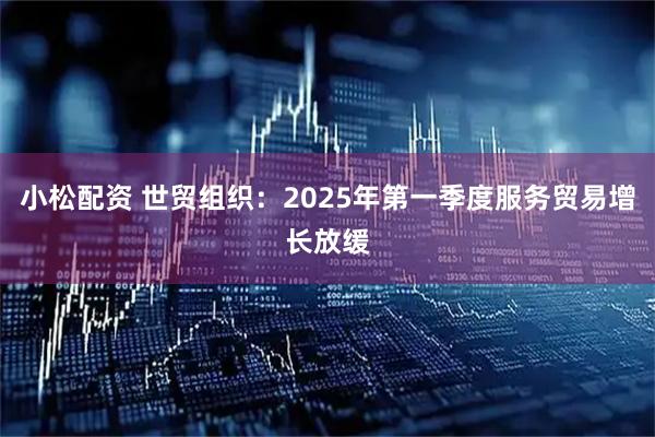 小松配资 世贸组织：2025年第一季度服务贸易增长放缓